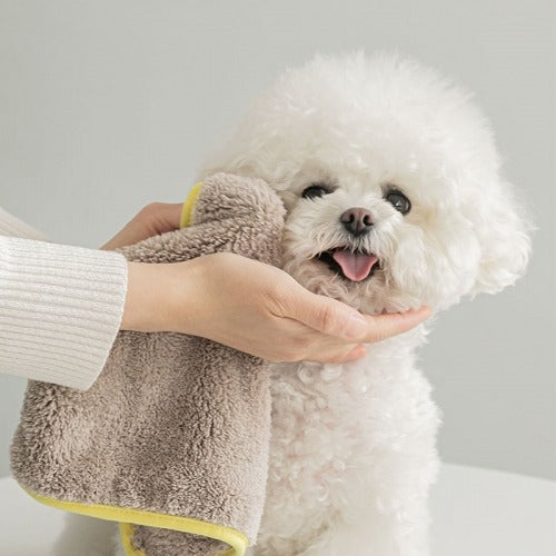 Super Absorbent Microfiber Pet Towel Dry Me Mini - 2 pieces