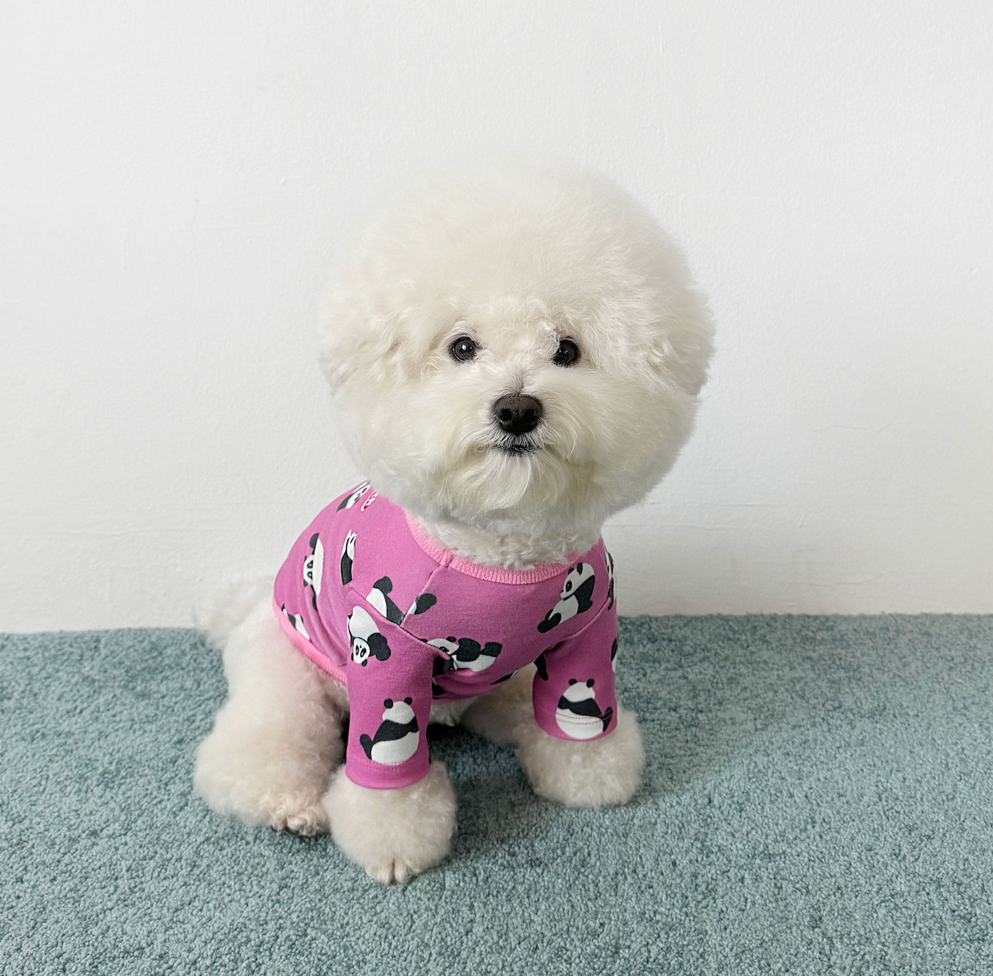 CRR Paw-fect Panda graphic Tshirt