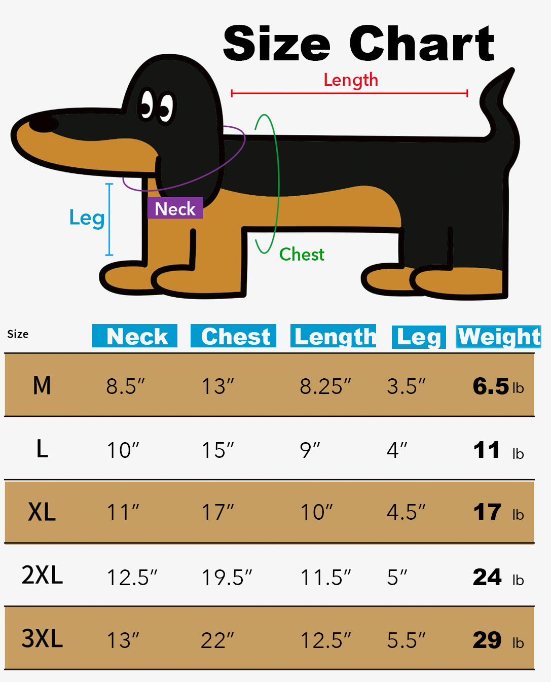 CRR Paw-fect Panda graphic Tshirt