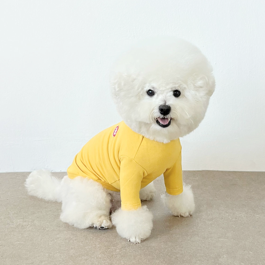CRR Everyday Tshirt for Dogs and Cats