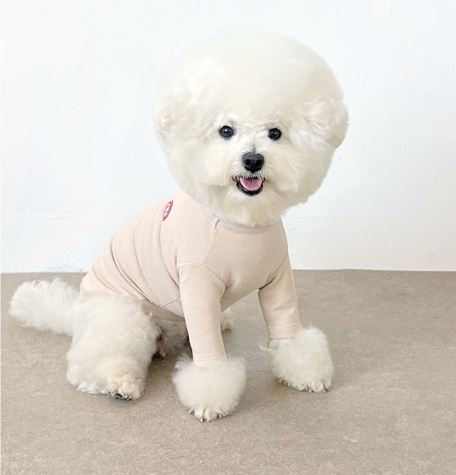 CRR Everyday Tshirt for Dogs and Cats