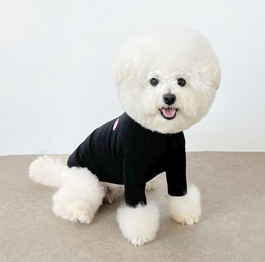 CRR Everyday Tshirt for Dogs and Cats