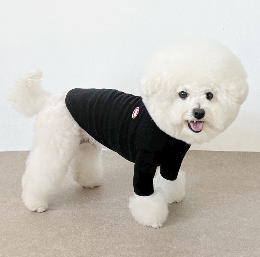 CRR Everyday Tshirt for Dogs and Cats