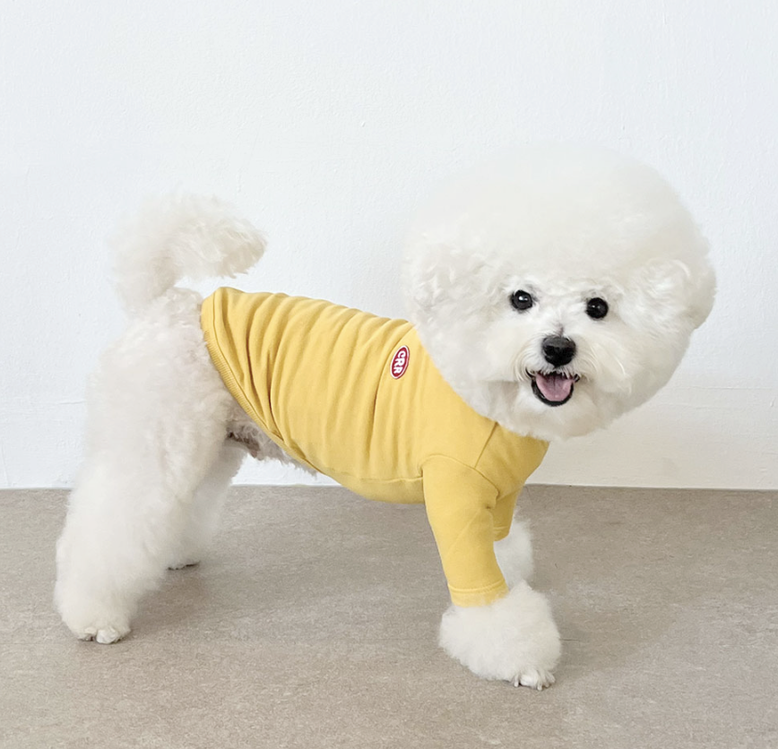 CRR Everyday Tshirt for Dogs and Cats