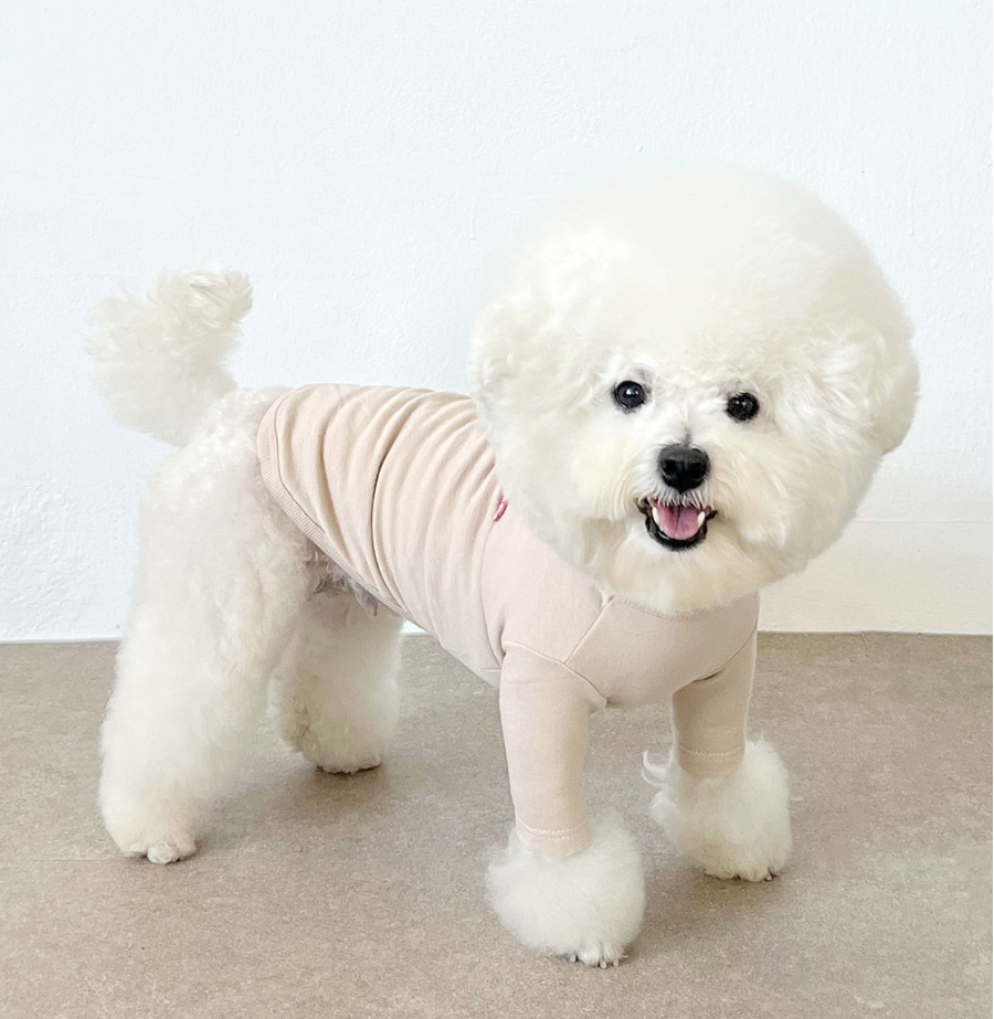 CRR Everyday Tshirt for Dogs and Cats