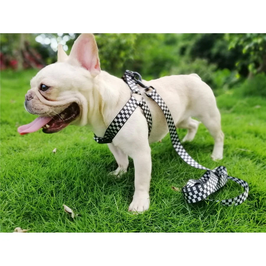Sol Dog Harness - Checker Flag Dog Accessories - Strong Collar - Pet Accessories - Trendy Pet Harness - Dog Vest