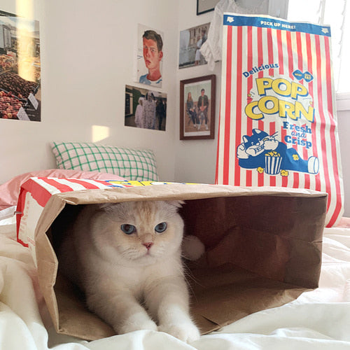 Pop Corn Cat hide & play paper bag